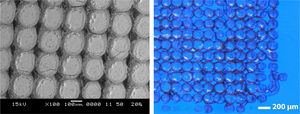 SEM micrograph (left) and photograph (right) of the ink-coated blue contemporary glass sample after laser irradiation with 500 pulses in each position.