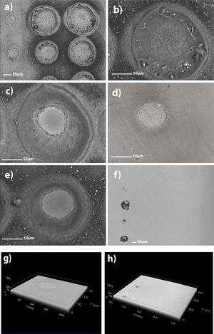 Optical micrographs of the surface of the ink-coated colourless glass after irradiation with one (a and b), five (c and d) and 10 (e and f) series of 200 pulses. (d) and (f) show the aspect of the glass surface after conventionally removing the remaining ink on the glass surface, once the laser treatment was completed. Several defects generated during the laser treatment are thus revealed. Figures g and h show isometric aspects of (d) and (f).