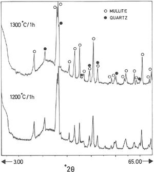 XRD diagram of pyrophyllite clay sample bodies after heating at 1200°C and 1300°C for 1h, showing the crystallinity of mullite (formed by thermal decomposition of the layer silicates), the presence of quartz (identified in the raw sample) and the amorphous glassy phase (hump in the XRD background centered at ∼22° 2θ).