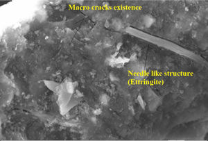 SEM image of CC after 12 months of immersion in sulphate solution.