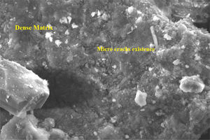SEM image of GPC after 12 months of immersion in sulphate solution.
