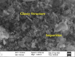 SEM image of metakaolin.
