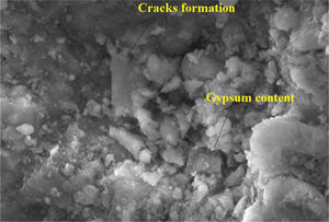 SEM image of CC after 12 months of immersion in acid solution.