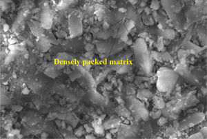SEM image of GPC after 12 months of immersion in acid solution.
