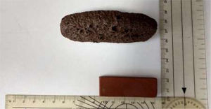 Rectangular body before and after firing at 1300°C.