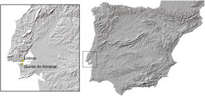 Localización geográfica en la península ibérica de los yacimientos mencionados en el texto.