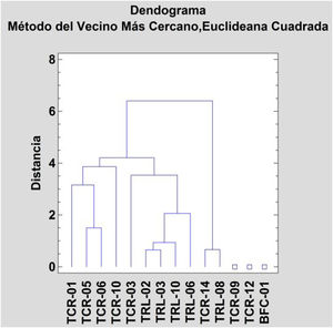 Dendrograma con los resultados de FRX de todas las muestras. Método del «vecino más cercano, distancia euclidiana (o euclídea) al cuadrado».