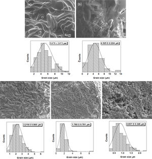 SEM images (above) and grain size histograms (bellow) for Nb-doped bismuth titanate specimens sintered by PLS (a) x=0.0, (b) x=0.5, (c) x=1.0, (d) x=1.5, and (e) x=2.0.