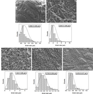 SEM images (above) and grain size histograms (bellow) for Nb-doped bismuth titanate specimens sintered by SPS (a) x=0.0, (b) x=0.5, (c) x=1.0, (d) x=1.5, and (e) x=2.0.