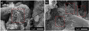 The microstructure of the (a) uncalcined and (b) calcined halloysite clay.