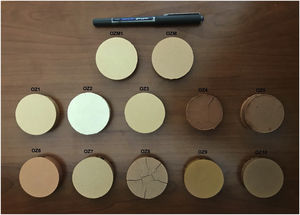 Macroscopic aspect of the elaborated ceramics at 1000°C.