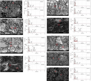 SEM-EDS analyses of sintered ceramics at 1000°C (Oz 1–Oz 10 and Oz M–Oz M1 mixtures from up to down).