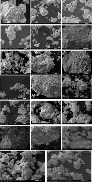 SEM images of bentonite samples.