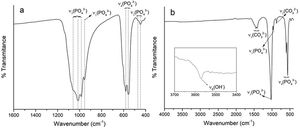 FTIR spectra. Alpha tricalcium phosphate (a), carbonate hydroxyapatite type B (b).