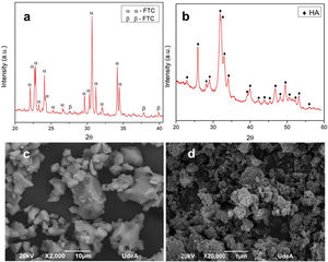 XRD from α-TCP (a). XRD from CHA-B (b). SEM micrograph from α-TCP (c). SEM micrograph of CHA-B (d).