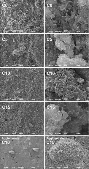 SEM micrographs of the fracture surface of each CPC formulation; 500× and 10000× from left to right for C0, C5 C10 and C15 (from top to bottom). Final row show agglomerates present in C10 and C15 samples.