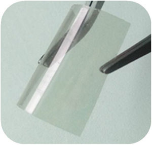 Photographic image of a ITO/PET substrate with a ZnO HT film growth from a 10mM hydrothermal solution.