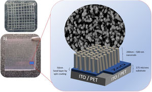 FESEM Images ZnO nanorods obtained by hydrothermal synthesis, (a) ZnO nanorods with 10mM for ZnO seed layer and 10mM in HT, (b) ZnO nanorods with 10mM for ZnO seed layer and 15mM in HT, (c) ZnO nanorods with 15mM for ZnO seed layer and 10mM in HT and (d) ZnO nanorods with 15mM for ZnO seed layer and 15mM in HT.
