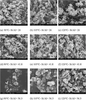 The SEM images of the synthesized Al-MHCM.