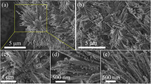 The SEM micrographs of the as-prepared LDs particles: (a) and (b) the macrographs of particles; (c), (d) and (e) the magnified micrographs in (a).