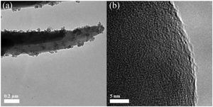 The TEM image of LDs building blocks (a) and their high magnification micrograph (b).