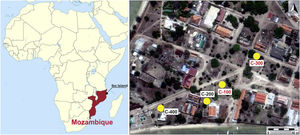 Location of the Ibo Island (Northeastern Mozambique) and the different excavation sites on the Portuguese town of Ibo. C-100 and C-300 sites are written in red.