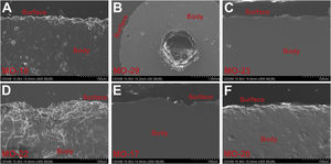 FESEM micrographs (SE mode) showing state of conservation of the samples studied.