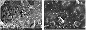 The SEM images of the Feed 8 printed at (a) 2800mA, and (b) 3000mA.