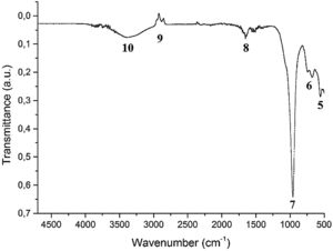 Infrared spectrum of the Faujasite-Na sample with its main vibrational modes.