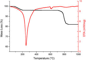 Thermal analysis of the synthesized Faujasite-Na zeolite performed between room temperature and 1000°C.