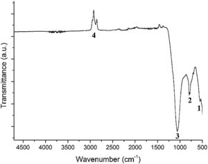 Infrared spectrum of the FA sample with its main vibrational bands.