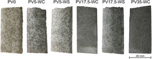 Surfaces of Sust-MPC-PV samples. (Colour in print and web).