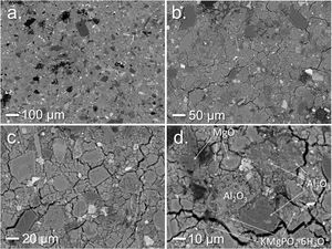 BSEM images of the polished cross section surface of PV35-WC micromortar sample at different magnifications (a–d), and identification of un-reacted particles and matrix (d).