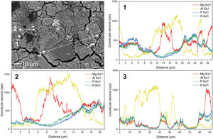 BSEM-EDS line scans performed in PV35-WC sample. The line path crossed aluminium-rich particles, as well as part of the K-struvite matrix. (Colour in print and web).