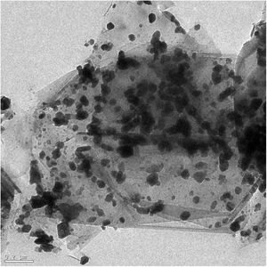 HRTEM image of graphite–molybdenum composite synthesized by colloidal route (sample graphite–5vol.% Mo in the image).