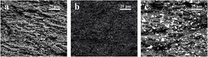 FESEM images of doped graphite with (a) 2.5vol.% Mo, (b) 5vol.% Mo and (c) 10vol.% Mo