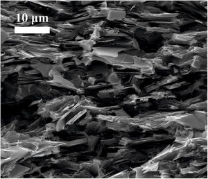 SEM image corresponding to the surface of fracture of the sample graphite–10vol.% Mo–1vol.% Ti.