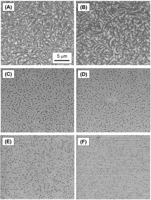 Scanning electron microscopy (SEM) images representative of the microstructure of the dental glass-ceramics used in this study: (A) LS2 LT; (B) LS2 HT; (C) ZLS LT (as-received); (D) ZLS HT (as-received); (E) ZLS LT (heat-treated); (F) ZLS HT (heat-treated). All images are at the same scale.