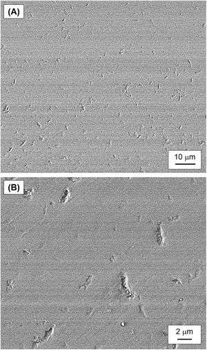 SEM details of the wear damage in LS2 glass-ceramics taken on specimens which were metallized (gold-coated) after the wear test, prior to SEM observation: (A) LS2 HT at intermediate magnification; (B) LS2 HT at high magnification.