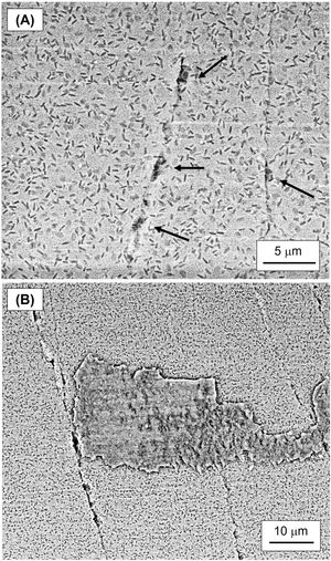 SEM details of the wear damage in ZLS glass-ceramics taken on non-metallized specimens: (A) ZLS HT (as-received) at intermediate magnification; (B) ZLS HT (as-received) at high magnification. Black arrows in (A) highlight locations where partial cone-cracks widen.