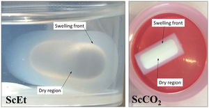 Images of the hybrid aerogels ScEt and ScCO2 in an intermediate state of the absorption phenomena of liquid PDMS. The opacity of the dry samples disappears as the liquid penetrates the porous space and swells the samples.