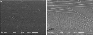 SEM micrographs of the polished surface of the 25mol% Fe2O3 sample with different magnifications – (a) general view of the crystal morphology, (b) magnified view of the needle-like and dendrite-shaped crystals.