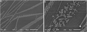 SEM micrograph of the polished surface of a sample with 30mol% Fe2O3 – (a) general view of the crystals present and (b) magnified image of the needle-like and dendritic formations.
