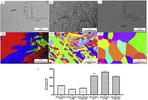 Microstructure and grain maps obtained by SEM-EBSD analysis show IPF-color orientation for CP-Ti (a, d), TN15 (b, e) and TNZ33 (c, f); elastic modulus, E (GPa) and microhardness (HV) values, for CP-Ti, TN15 and TNZ33 bulk samples (g).