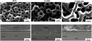 SEM morphology of porous layer of as-cast CP-Ti, TN15 and TNZ33 samples after PEO coating.