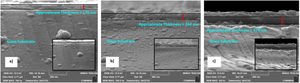 SEM cross section view of the seed layers. (a) S1-3L, (b) S2-5L and (c) S3-7L.