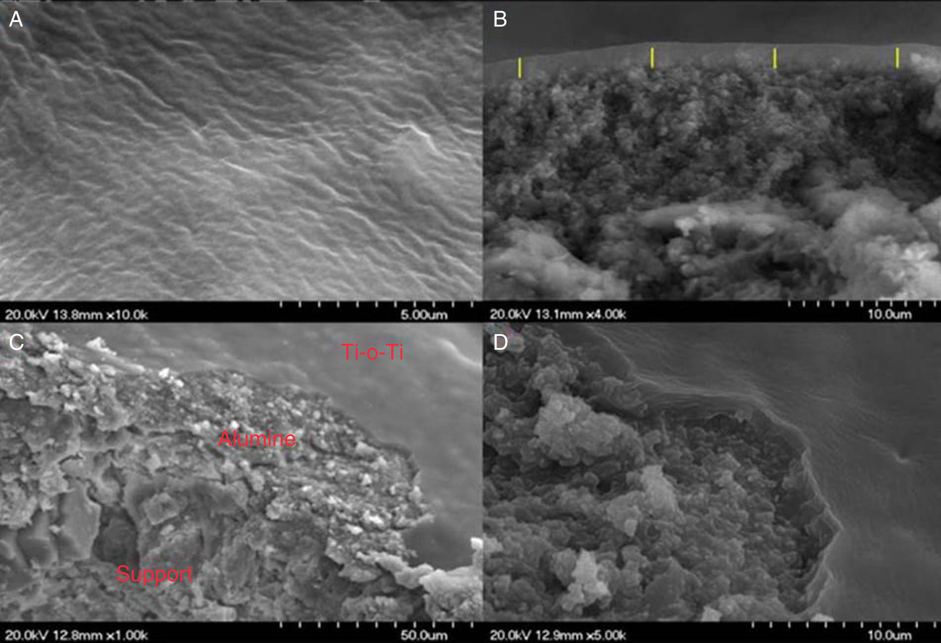 Natural Tio2 Cost-efficient natural apatite–metakaolin supported TiO2 mesoporous ...
