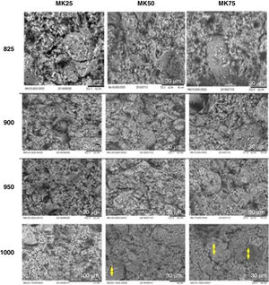 SEM images of MK25, MK50, and MK75 samples sintered at different temperatures.