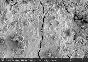 Micrograph of cracking in mortar matrix.