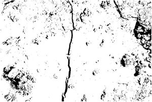 Binary image after applying the black and white thresholding.